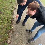 35) Cluedo met begeleiding op afstand  (Eigen locatie)