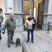 5) Wie ontdekt de Verrader? Mechelen 