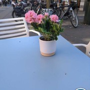 51) The Wedding Game Venlo