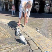 15) The Wedding Game Alkmaar