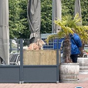 8) City Hunters Harderwijk