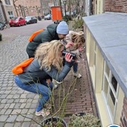 25) Cluedo met begeleiding op afstand  (Eigen locatie)