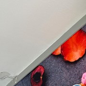 43) The Wedding Game Helmond