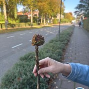 11) Cluedo (zonder horeca)  (Eigen locatie)