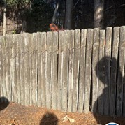 24) Cluedo (zonder horeca)  (Eigen locatie)