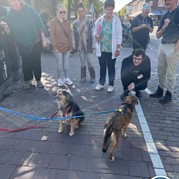 46) Cluedo (zonder horeca)  (Eigen locatie)