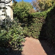 55) Cluedo (zonder horeca)  (Eigen locatie)