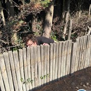 68) Cluedo (zonder horeca)  (Eigen locatie)