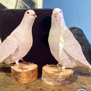 45) The Wedding Game Utrecht