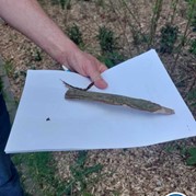 34) Cluedo met begeleiding op afstand  (Eigen locatie)