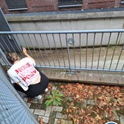 17) Cluedo met begeleiding op afstand  (Eigen locatie)