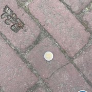 41) Hunted met begeleiding op afstand  (Eigen locatie)