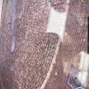 42) Hunted met begeleiding op afstand  (Eigen locatie)