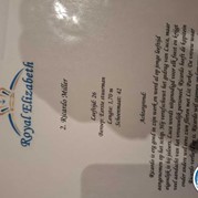 8) Moordspel *  (Eigen locatie)