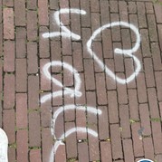 34) Sex in the City - Vrijgezellendag voor Vrouwen Haarlem