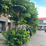 15) Jachtseizoen Deventer