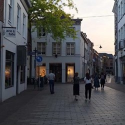 Cluedo met begeleiding op afstand Den Bosch