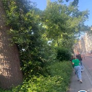 30) Hunted met begeleiding op afstand  (Eigen locatie)