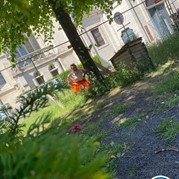 24) Jachtseizoen Mechelen 