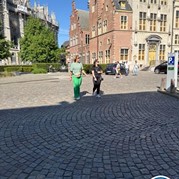 25) Jachtseizoen Mechelen 