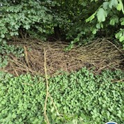13) Dropping *  (Eigen locatie)