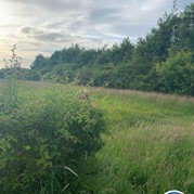 15) Dropping *  (Eigen locatie)