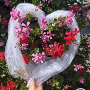 21) The Wedding Game Rotterdam