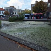 6) Jachtseizoen Breda