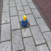 19) Citygame Levend Ganzenbord met begeleiding op afstand  (Eigen locatie)
