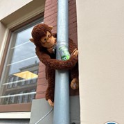 11) The Hangover  Groningen