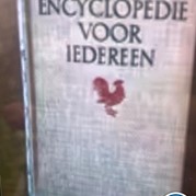 18) Get the Picture Haarlem