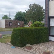 36) Cluedo met begeleiding op afstand  (Eigen locatie)