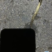 12) Dropping B2025260782  (Eigen locatie)