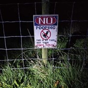 22) Dropping B2025260782  (Eigen locatie)