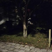 5) Dropping B2025260782  (Eigen locatie)