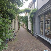 28) Levend Monopoly met begeleiding op afstand  (Eigen locatie)