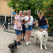 8) Wie ontdekt de Verrader? Hilversum
