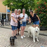 9) Wie ontdekt de Verrader? Hilversum