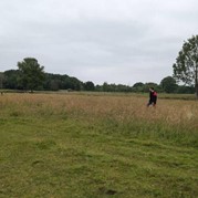 26) Dropping *  (Eigen locatie)