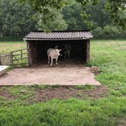 33) Dropping *  (Eigen locatie)