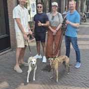 12) Wie ontdekt de Verrader? Delft