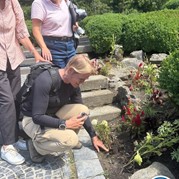 38) City game The Target 