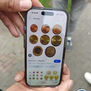 10) Jachtseizoen eigen locatie  (Eigen locatie)