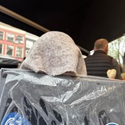 2) Secret Escape Game eigen locatie  (Eigen locatie)