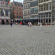 8) Kroongetuige Antwerpen