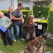6) Wie ontdekt de Verrader? (zonder horeca) *  (Eigen locatie)