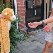 13) The Hangover  Groningen