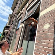 24) The Hangover  Groningen