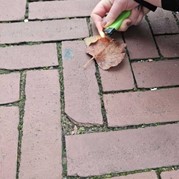 23) Jachtseizoen eigen locatie  (Eigen locatie)