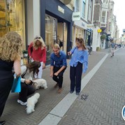 35) Wie is de Rat (zonder horeca)  (Eigen locatie)